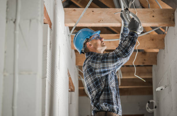 Best Electric Panel Repair  in Port Carbon, PA